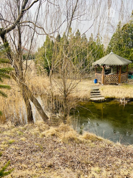 Stavebný pozemok aj s jazierkom, rozloha 29 212 m2 - IDEÁLNY na podnikateľské účely, Dunajská Streda
