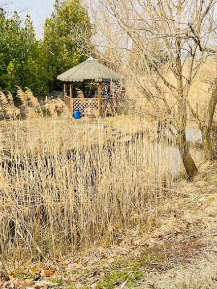 Stavebný pozemok aj s jazierkom, rozloha 29 212 m2 - IDEÁLNY na podnikateľské účely, Dunajská Streda