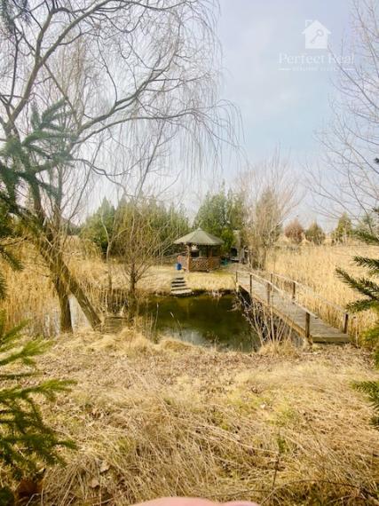 Stavebný pozemok aj s jazierkom, rozloha 29 212 m2 - IDEÁLNY na podnikateľské účely, Dunajská Streda