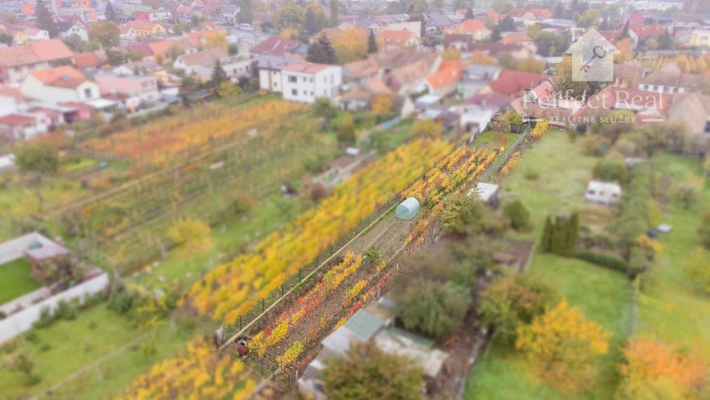 Znížená cena  na predaj útulný domček,veľkou vinicou  v srdci malých Karpát