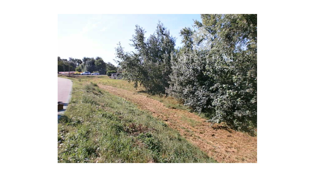 Na predaj rekreačný pozemok v Hamuliakove pri hrádzi