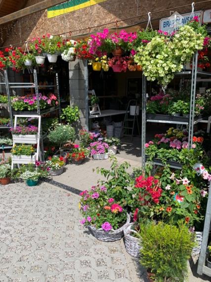 Na predaj  zabehnuté obchodné priestory s pozemkom 1185m2 vo Veľkom Biely.