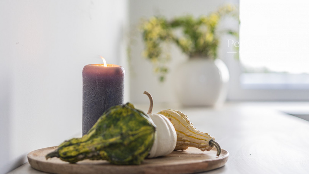 Na predaj 4. izb. bungalov v štandarde na pozemku 649m2 v Báči. PREDANÝ!!!