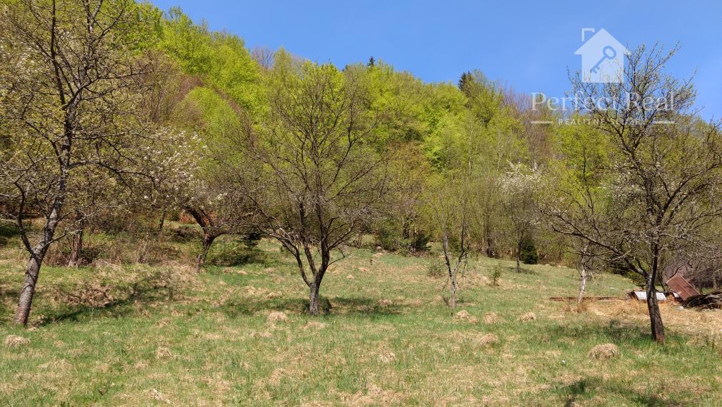 Veľký pozemok s potenciálom - REZERVOVANE!