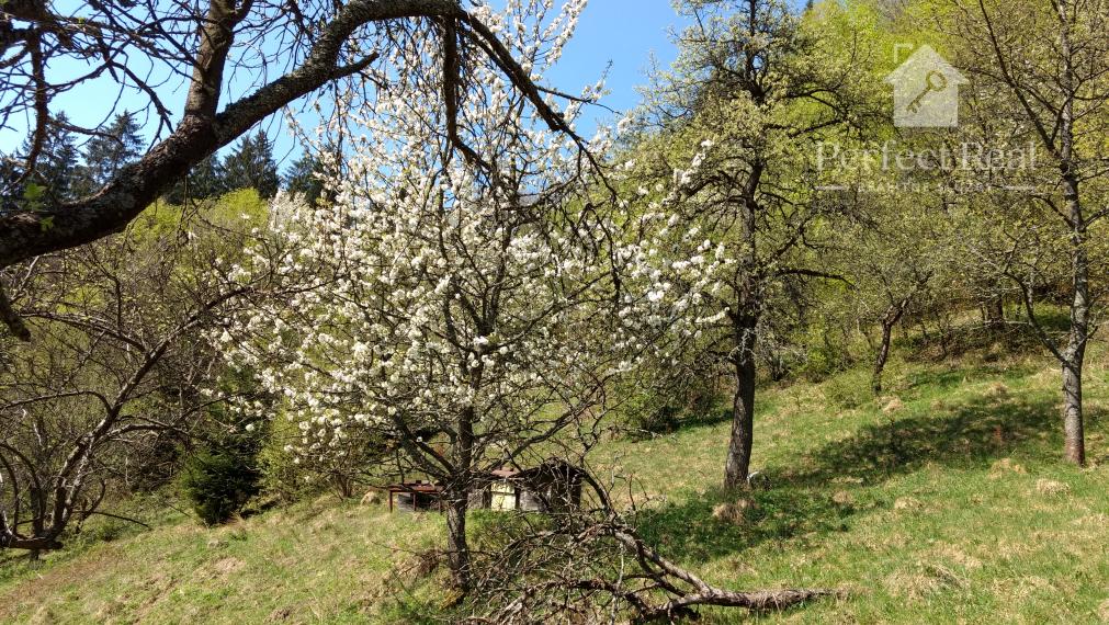 Veľký pozemok s potenciálom - REZERVOVANE!