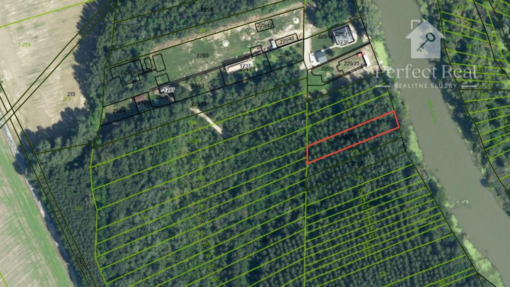 Jedinečný lesný pozemok pri Malom Dunaji – Potônske Lúky