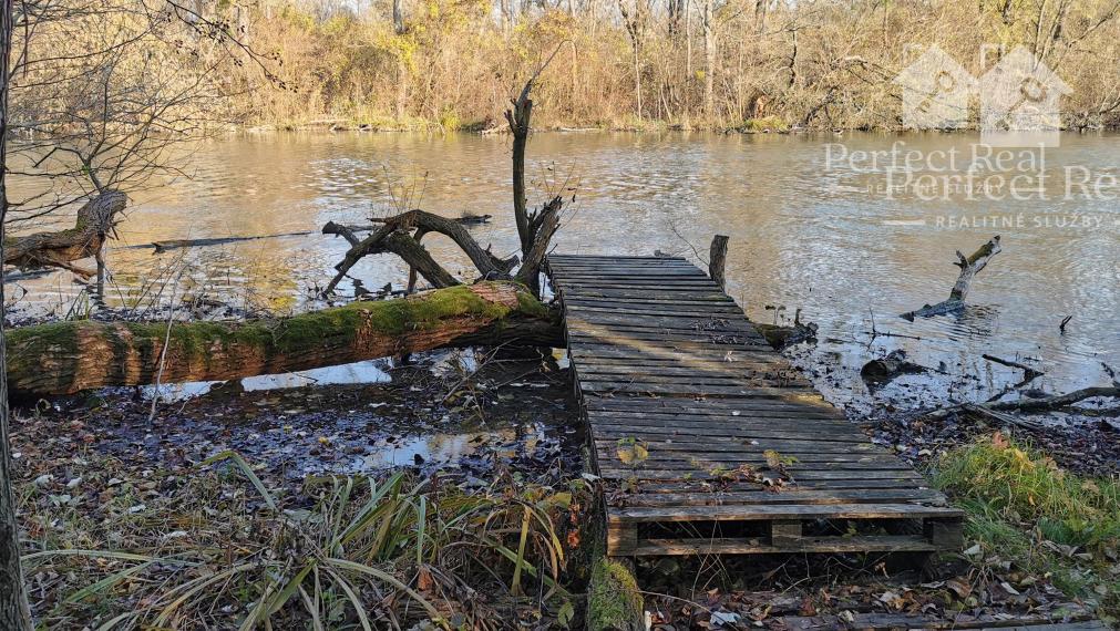 Jedinečný lesný pozemok pri Malom Dunaji – Potônske Lúky