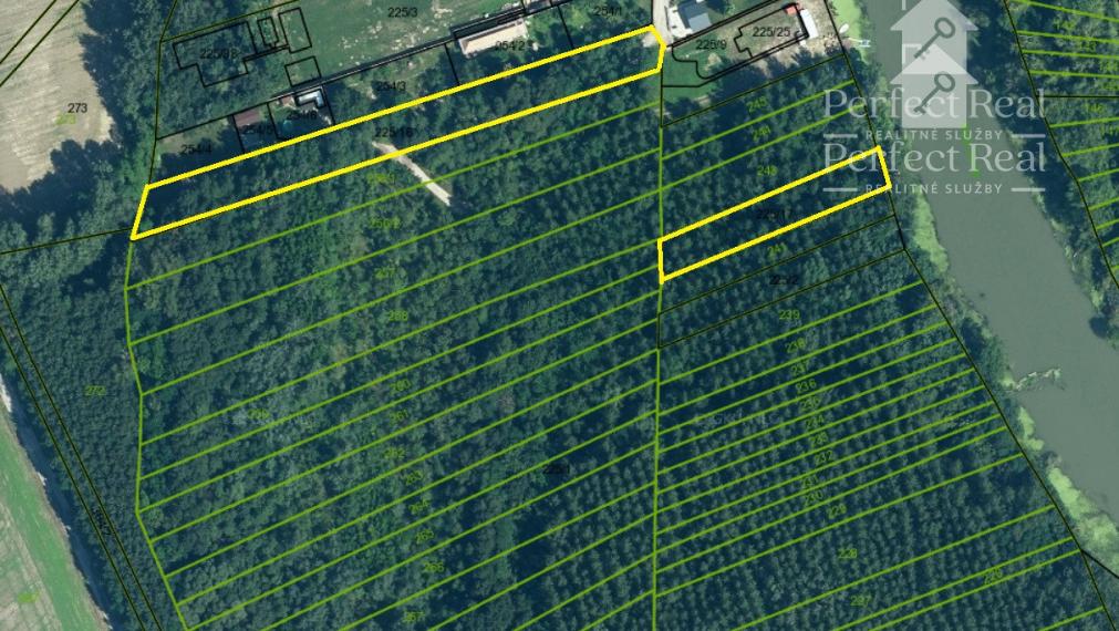 Jedinečný lesný pozemok pri Malom Dunaji – Potônske Lúky