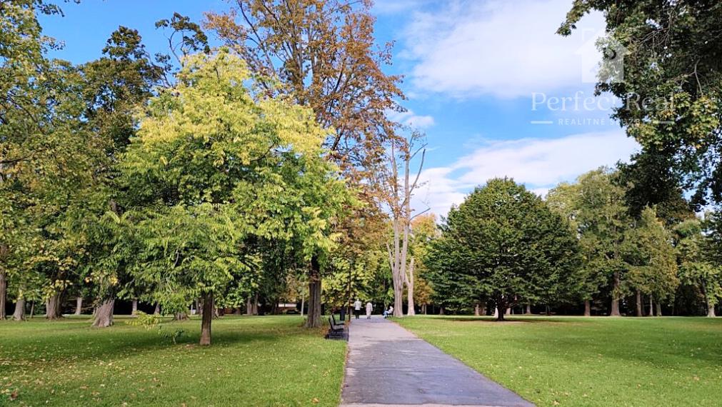 Prenájom 3izbový byt pri sade J. Kráľa a Auparku s výhľadom