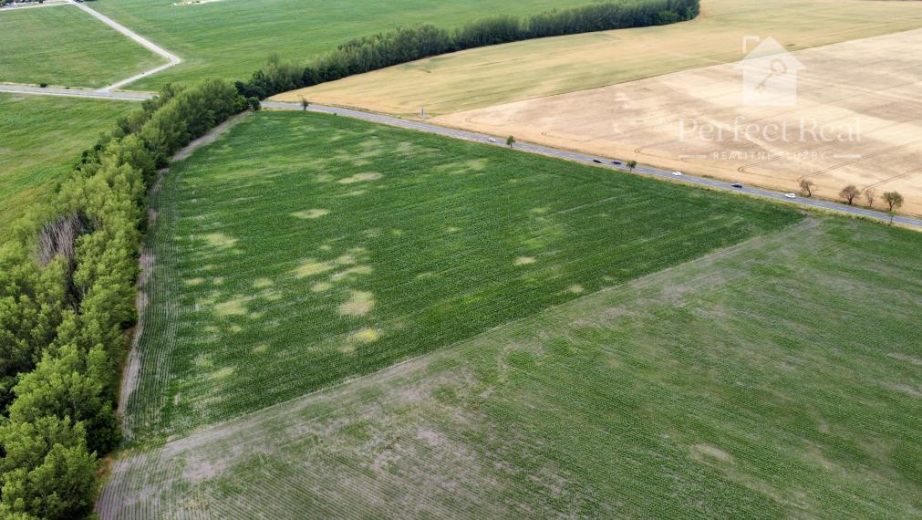 Na predaj investičný pozemok pri Dunajskej Strede, dohoda možná