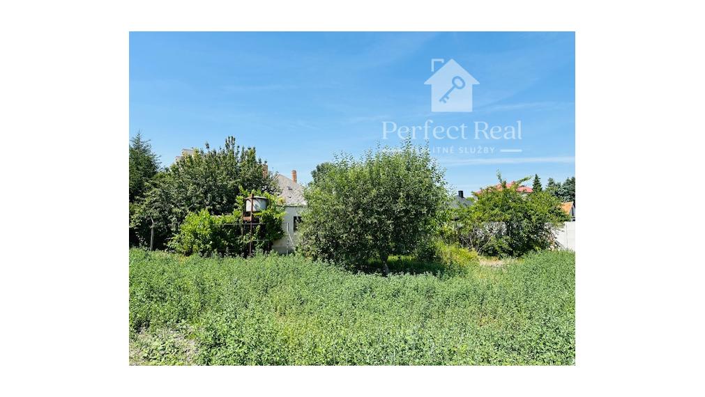 Starší rodinný dom, ideálny aj na podnikanie, Veľký Meder