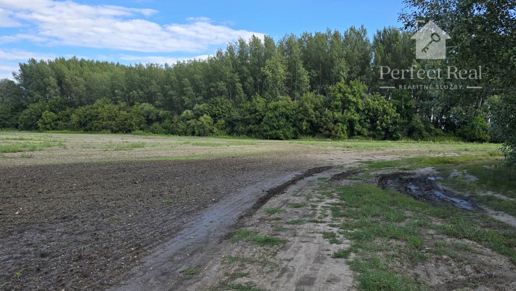 Pozemok pri Lesnokračanskom jazere, okr. DS