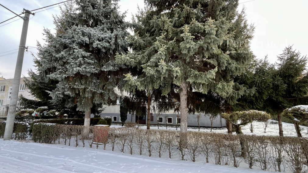 Prerobený, 2 izbový byt so záhradkou v obci Zlaté Klasy- 2 murované pivnice