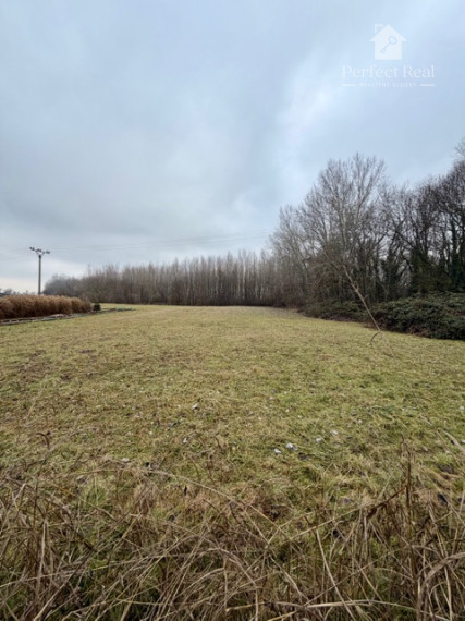 Dom s pozemkom o rozlohe 4136 m2, pri lesíku, Dolný Bar