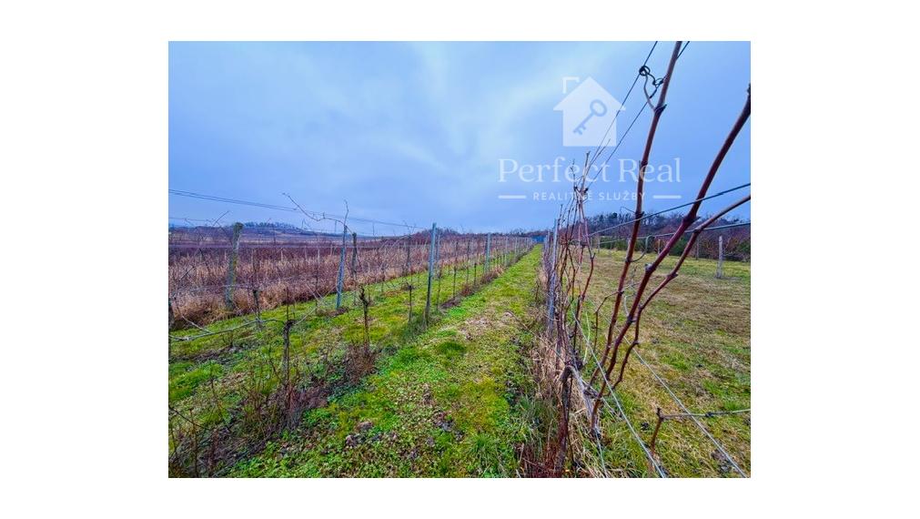 Na predaj Vinica 2009m2 s nádherným výhľadom v časti Narpochy pri Limbachu.