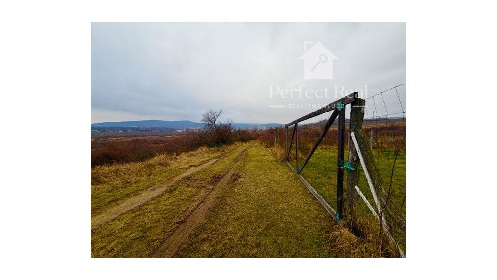 Na predaj Vinica 2009m2 s nádherným výhľadom v časti Narpochy pri Limbachu.