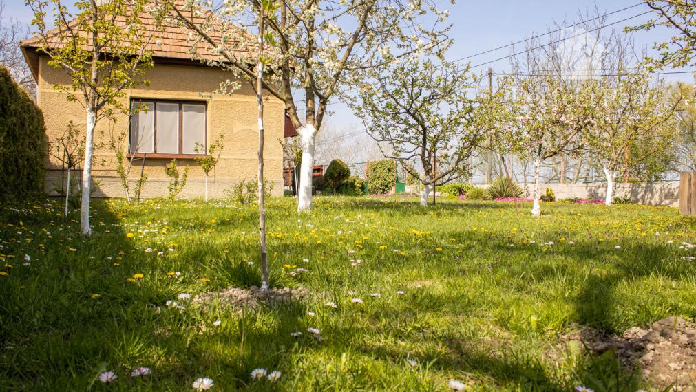 Malý RD pri jazere (chatka)