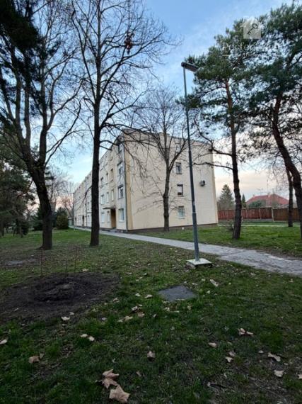 3 izbový byt, na prvom poschodí - Boriny, Dunajská Streda