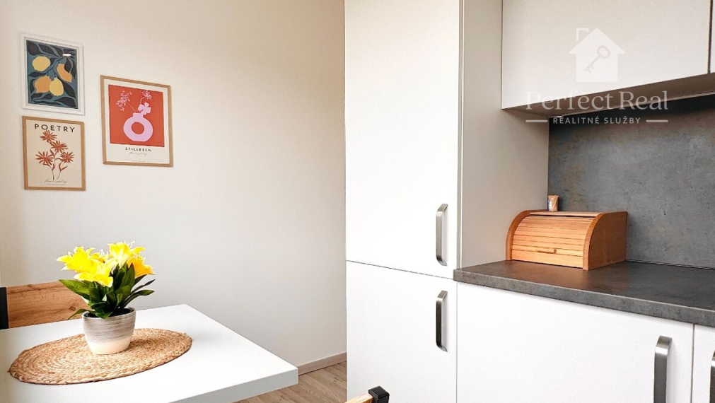Moderne zariadený krásny 1-izbový byt - Dúbravka