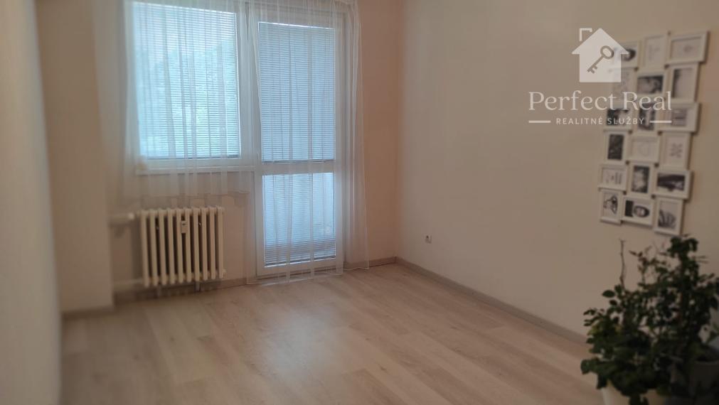 Zariadený 3 izbový byt na prenájom, Nám. priateľstva, DS, od. 1.9.2026