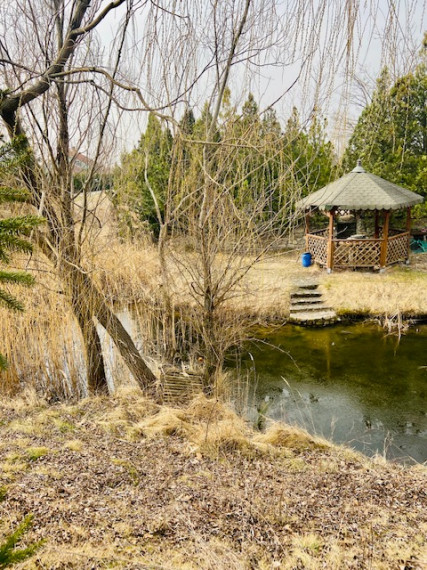 Stavebný pozemok aj s jazierkom, rozloha 29 212 m2 - IDEÁLNY na podnikateľské účely, Dunajská Streda