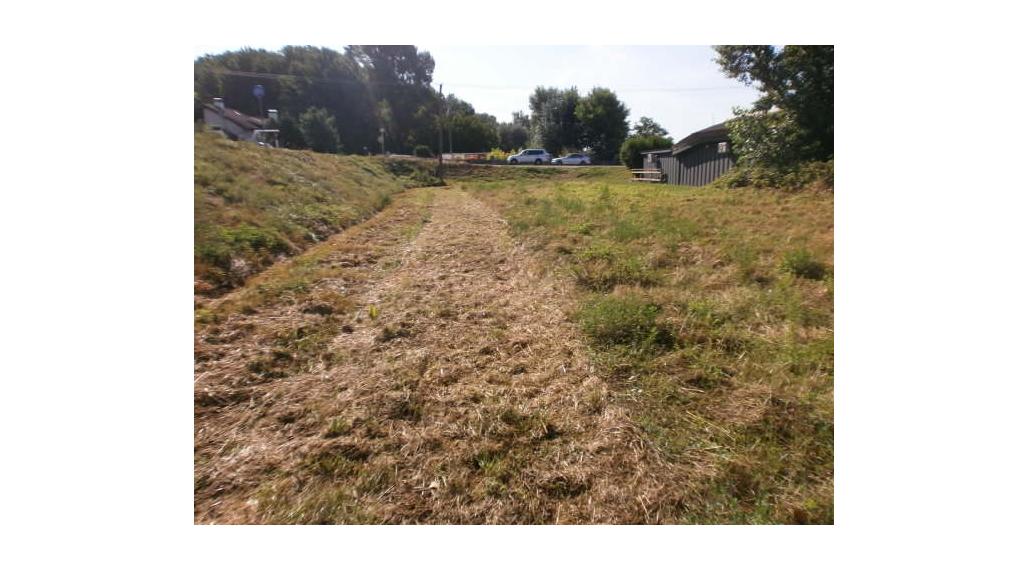 Na predaj rekreačný pozemok v Hamuliakove pri hrádzi