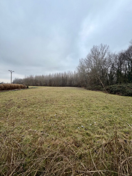 Pozemok o rozlohe 4136 m2 so starším domom  pri lesíku,