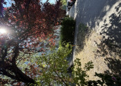 Krásny 2 izbový byt na predaj, balkón,šatník, centrum mesta - fotografia 34