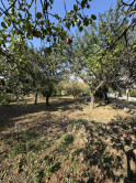 Na predaj rodinný dom so záhradou v Sološnici - fotografia 12