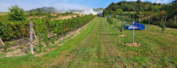 Na predaj Vinica 2009m2 s nádherným výhľadom v časti Narpochy pri Limbachu.