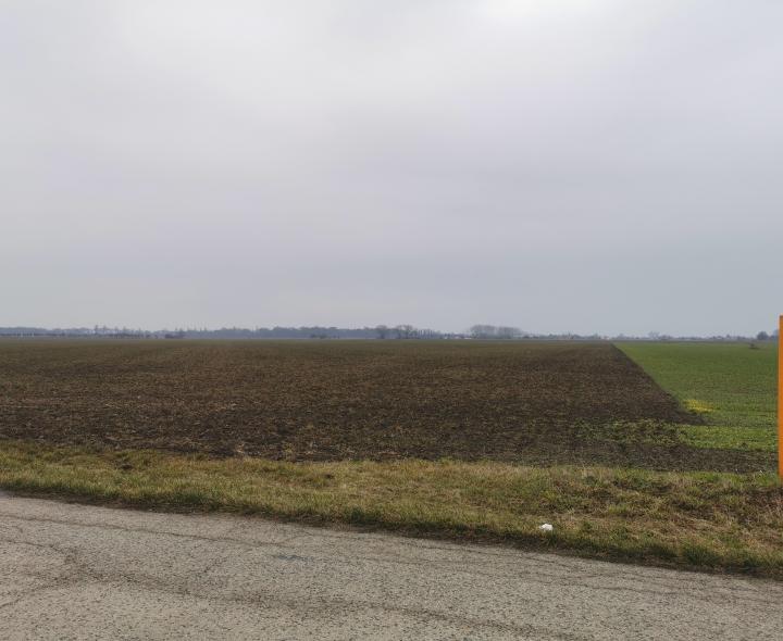 4,3 ha ornej pôdy na predaj