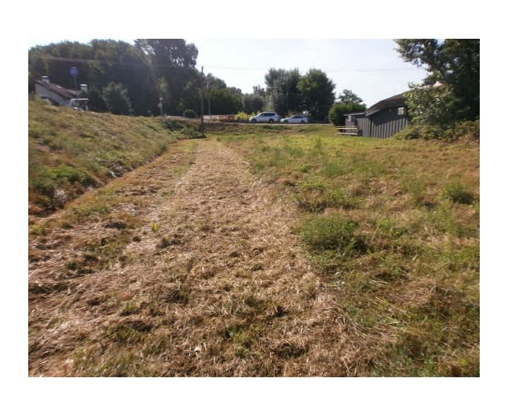 Na predaj rekreačný pozemok v Hamuliakove pri hrádzi