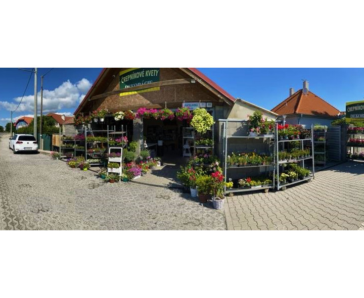 Na predaj zabehnuté obchodné priestory s pozemkom 1185m2 vo Veľkom Biely.
