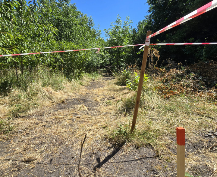 Dokonalý pozemok pre váš vysnívaný domov v malebnej Blahovej, v okr. Dunajská Streda - znížená cena