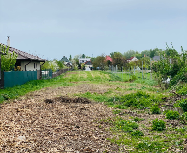 28á Stavebný pozemok so starším rodinným domom v Gabčíkove + 8á