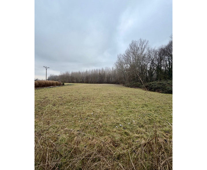 Pozemok o rozlohe 4136 m2 so starším domom  pri lesíku,